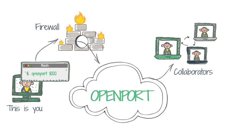 Openport flow